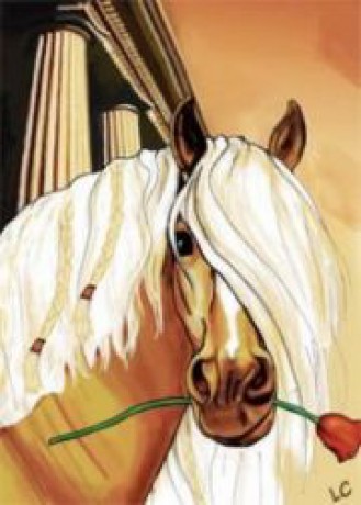 Haflinger-Bella Sara